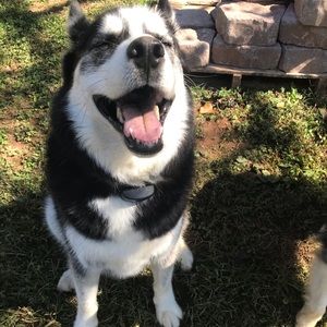 Meet your Posher, Megan